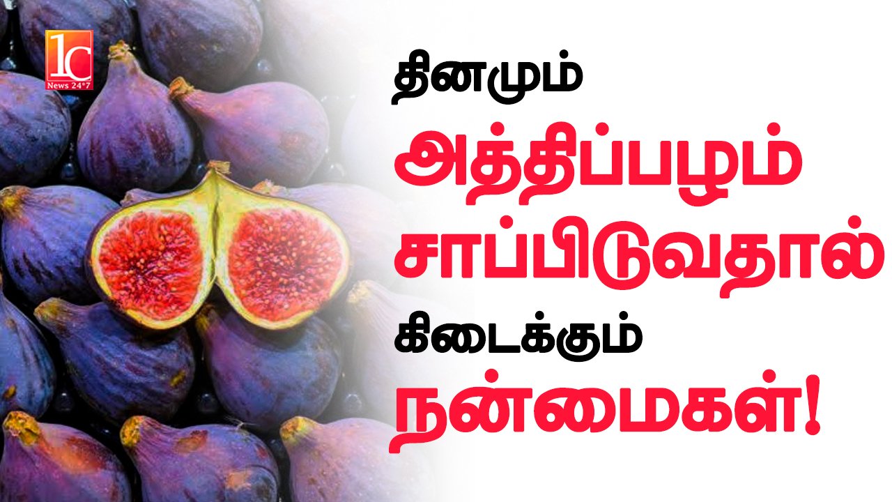 Health Benefits of Fig (Athi Pazham) in Tamil