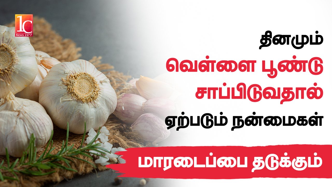 Top Health Benefits of Garlic 