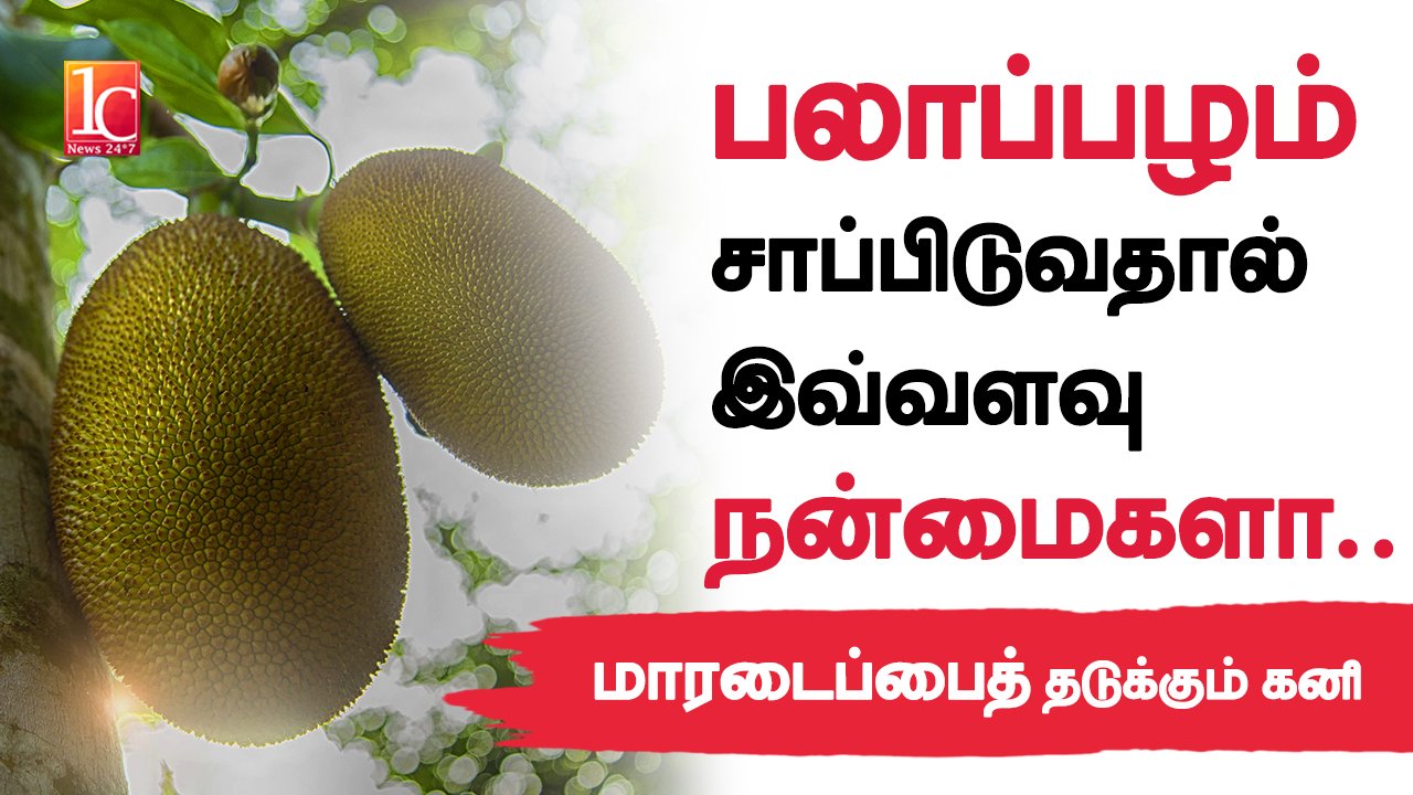 Amazing Health Benefits of Jackfruit in Tamil