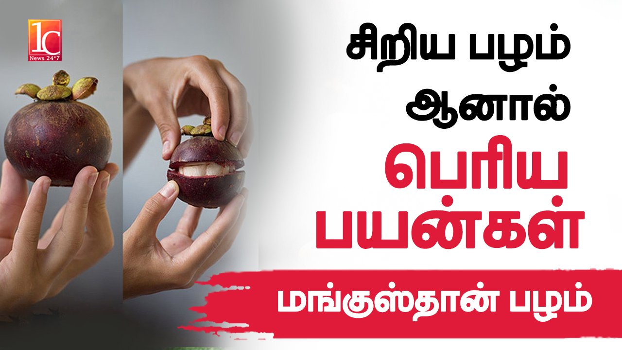Amazing Mangosteen Fruit benefits in Tamil