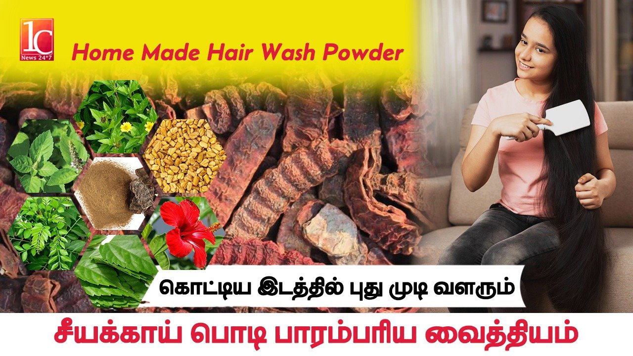வீட்டிலேயே சீயக்காய் பொடி செய்வது எப்படி? | Shikakai Powder Home made Preparation in Tamil