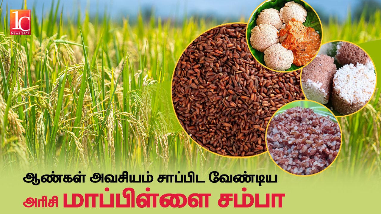 Benefits Of Mappillai Samba Rice