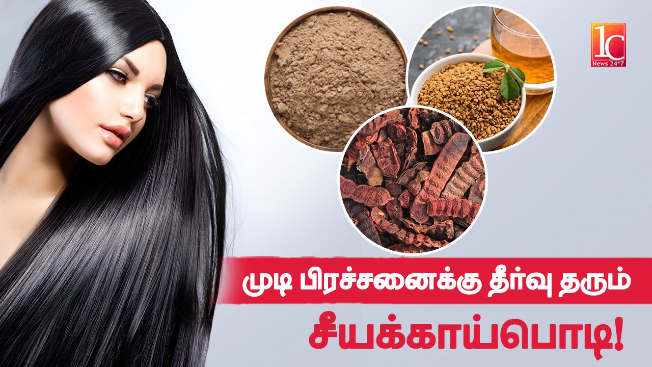 முடி பிரச்சனைக்கு தீர்வு தரும் சீயக்காய்பொடி | Natural Shampoo For Hair Growth