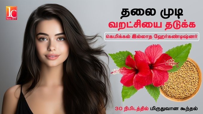 வறண்ட தலைமுடி பிரச்சினையா உங்களுக்கு? | Best Natural Conditioner For Dry Hair