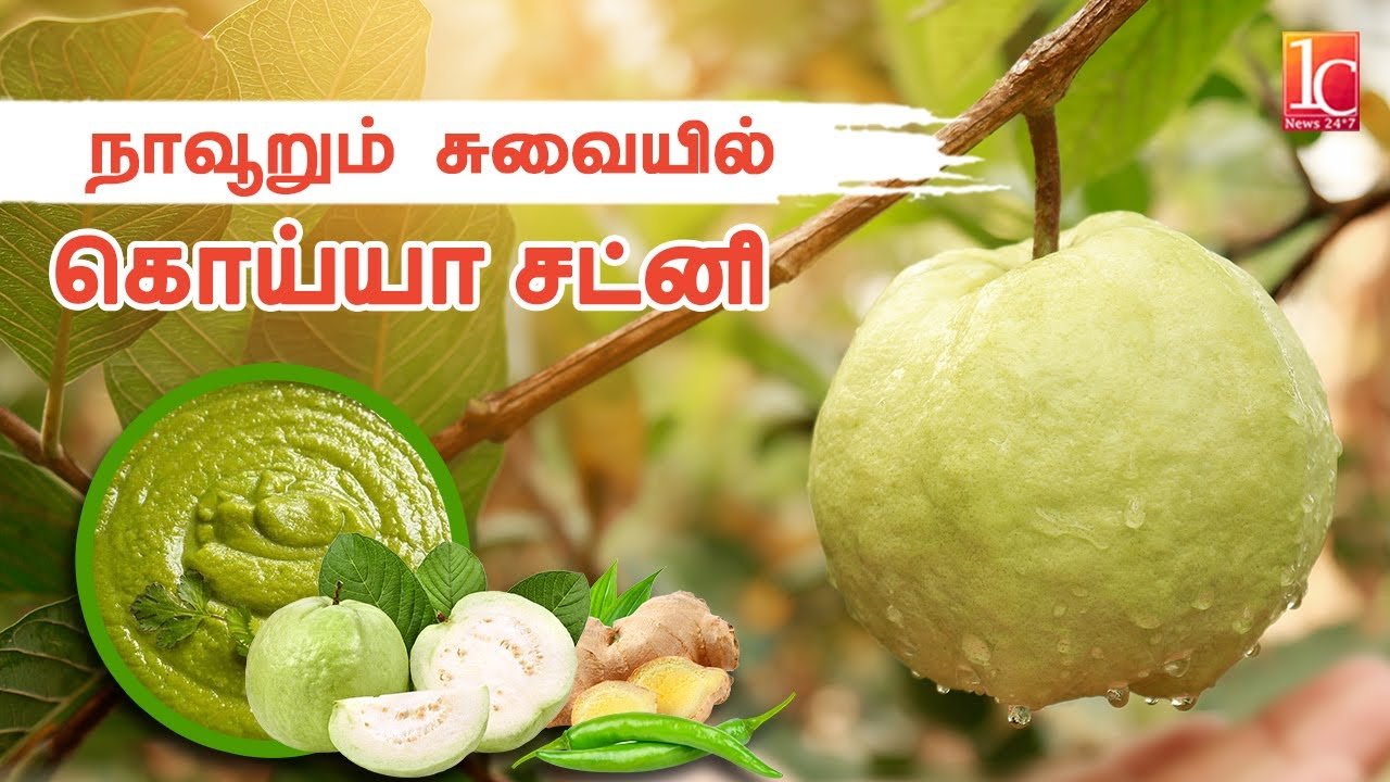 கொய்யாக்காய் சட்னி | Guava fruit Chutney | Guava fruit recipes | Chutney recipes in Tamil