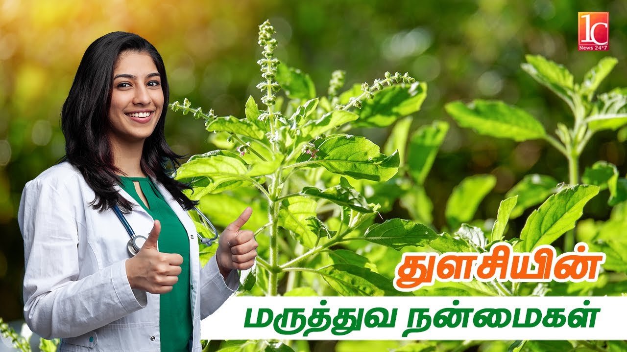 மூலிகையின் ராணி’ துளசியின் மருத்துவ குணங்கள் | Thulasi | Health benefits of Basil