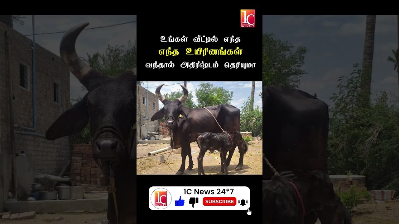 உங்கள் வீட்டில் எந்த எந்த உயிரினங்கள் வந்தால் அதிர்ஷ்டம் தெரியுமா | 2024 ஆம் ஆண்டு ராசிபலன் | 2024